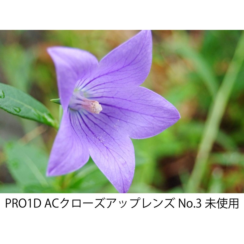 Kenko 55S PRO1D AC クローズアップ NO3 055236