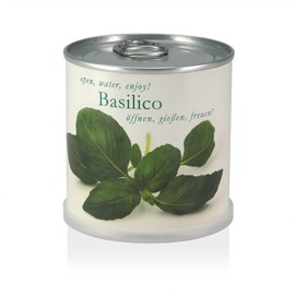 MacFlowers Flowers in a Tin - Basil/Basilico