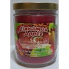 Smoke Odor Exterminator 13oz Jar Candle Cinnamon Apple and Pumpkin