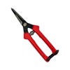 Cactus Bud Cutting Shears, Boxed SD-8