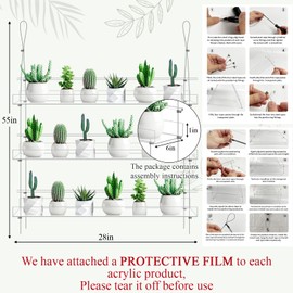 Ziliny 2 Pcs 28 Inch 3-tier Clear Hanging Window Plant Shelves Acrylic Height Adjustable Plant Stand Hanger Flower Pot Organizer Storage for Indoor Window Wall Garden Grow Herb Succulent