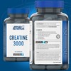 Applied Nutrition Creatine Monohydrate Capsules 3000mg Per Serving – High