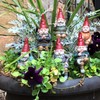 Gnomes of Toad Hollow - Classic Garden Gnome 6" H