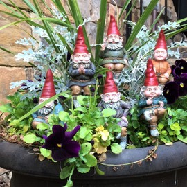 Gnomes of Toad Hollow - Classic Garden Gnome 6" H Shelf Sitter Assortment (1 Each of 6 Styles) with Removable 8" Metal Garden Stake