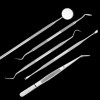 Veraly Set Herramientas Dentales Acero Inoxidable Con Estuche 5pz F