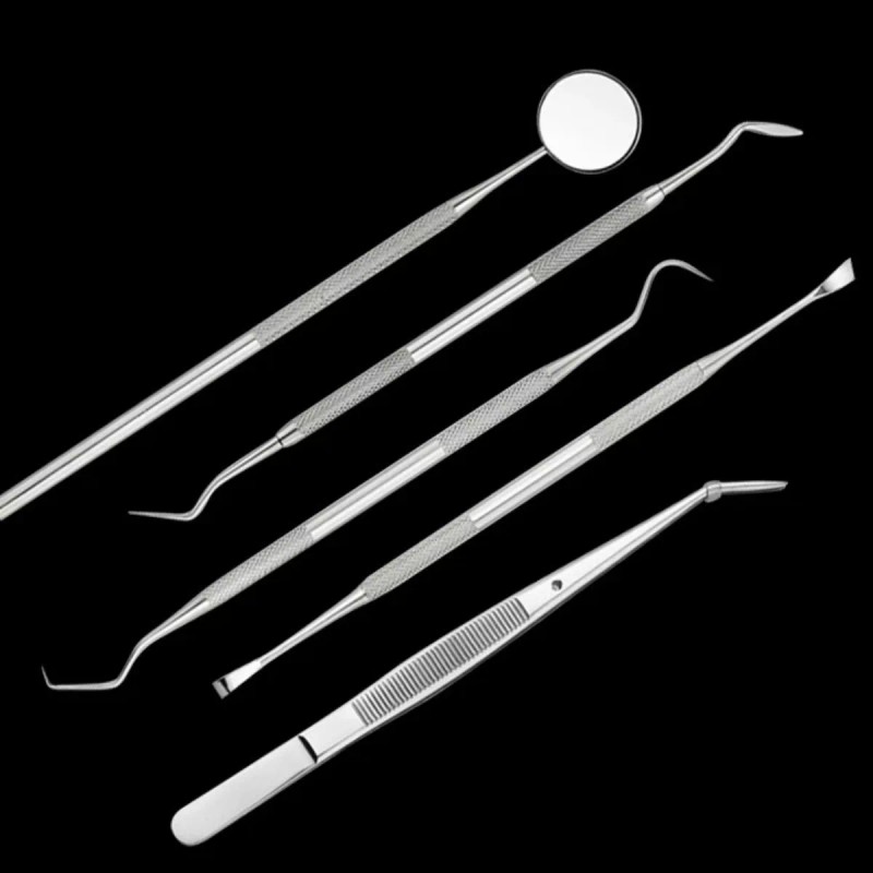 Veraly Set Herramientas Dentales Acero Inoxidable Con Estuche 5pz F
