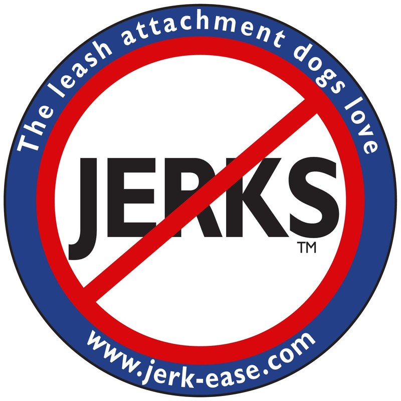 JERK-EASE BUNGEE DOG LEASH EXTENSION – Patented Shock Absorber Attachment