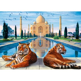 Meecaa Paint by Numbers Taj Mahal Building Tiger Animal Kit for Adults Beginner DIY Oil Painting 16x20 inch (Taj Mahal, No Frame)