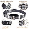 MAOWUWUJOZ Martingale Collar for Dogs - Reflective Nylon No Slip