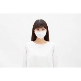 Iris Ohyama Mask Non-woven Pleated Mask, 120 Pieces, Regular Size, Width 6.5 inches (16.5 cm), Ear Painless, White, White