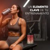 BEYOND VITAMINS Creatina Monohidratada con Electrolitos y Ciclodextrina para Mejor