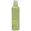 Aveda Be Curly Shampoo, 8.5-Ounce Bottle (Pack of 2)