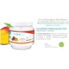 Acido Hialuronico Colag Mango Granada 450g Shelo Nabel S401