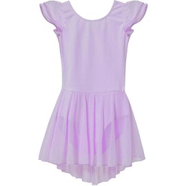 MdnMd Ballet Leotard for Girls Toddler Purple Dance Ballet Leotard Dress Skirted Ballerina Outfit Gymnastic (Age 4-6 / 4t,5t)