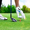 Golf Tee, Long Tee, Total Length 3.2 inches (82 mm),