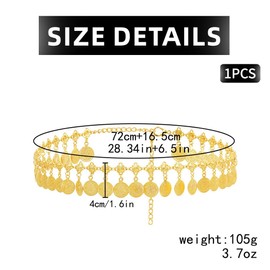 SCJJZ Body Chains Retro Waist Chain Tassel Fashion Casual Belly Dance Waist Accessories Beach Body Chain (85cm), Precious Metal, Cinnabar