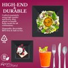 Elegant Disposable Plastic Dinnerware Set, Heavy Duty Plastic Plates (Black,