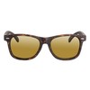 Eagle Eyes Charlie Polarized Sunglasses - Tortoise