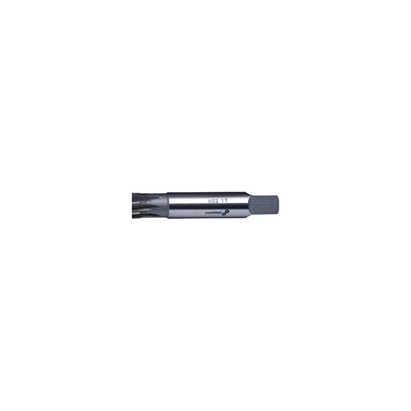 PAULIMOT HSS Hand Reamer 17 mm Fit H7