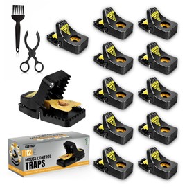 Glevro® 12 Pack Mouse Traps Indoor for Home,Mice Traps for House,Reusable Mouse Trap that Work,Small Mice Catchers for Home Indoor, Quick Set Mousetraps Effective