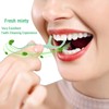 Holy Rose Mint Twin Line Dental Floss Picks - 300