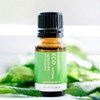 ECO. Modern Essentials Spearmint Pure Essential Oil, 10ml