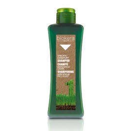 Salerm cosmetics Shampoo Specific Dandruff – 300 ml