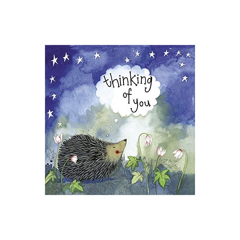 ALEX CLARK Hedgehog Thinking of You Card