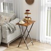 Acovy Tv Trays Set of 2, Foldable Table, Small Table