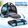 Blue Pet Carrier Bag for Cats and Small Dogs –