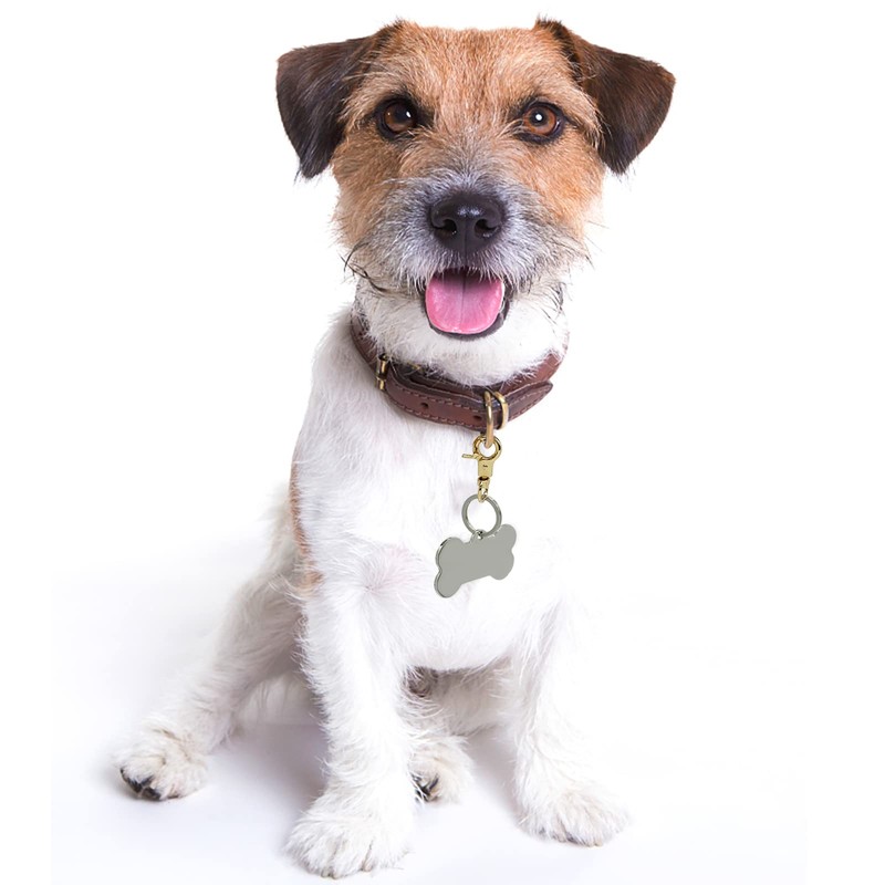 DORUI Dog Tag Clips 2 Pack Easy Change for Pet