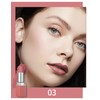 Erinde Matte Lipstick Waterproof, Nude Lipstick Long Lasting, Long-Lasting Lipstick