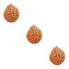 FOMIYES Sea Sponges Bath 3pcs Face Washing Spa Bath Shower