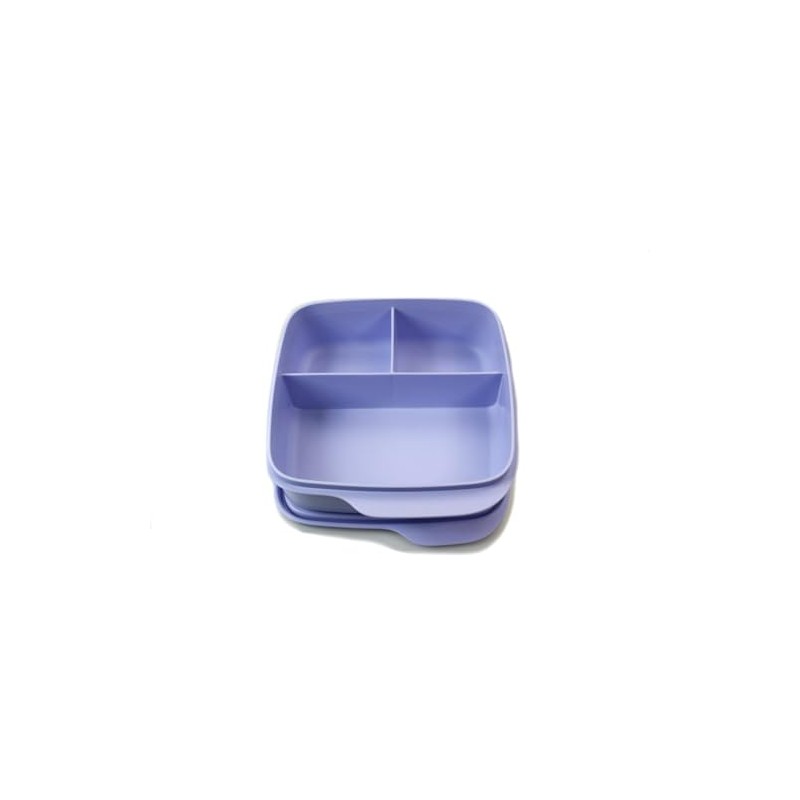 Tupperware to Go Lunch Box Clever Break 590 ml with