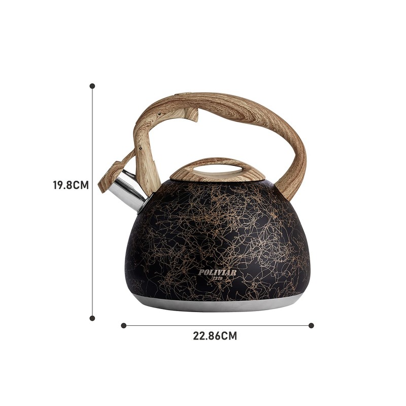 Poliviar JX2018-MS20-DE modern induction kettle, stainless steel whistling kettle, tea