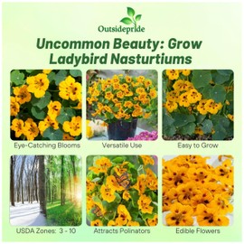 Outsidepride Tom Thumb Ladybird Nasturtium Seeds - 200 Pcs Annual, Easy to Grow & Versatile, Flower Seeds for Planting Vibrant Blooms, Ideal for Gardens, Borders, and Pollinator Gardens