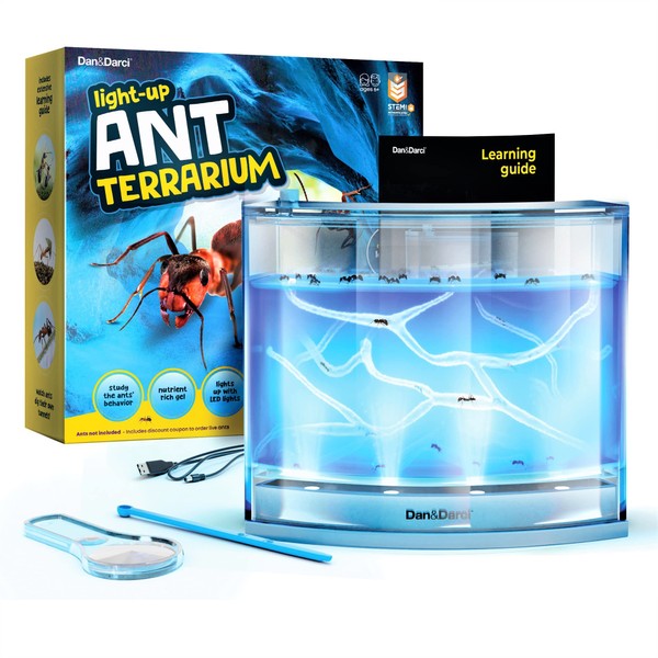Dan&Darci Light-up Ant Farm Terrarium Kit for Kids – LED