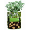 Fallen Fruits Potato Planter