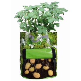 Fallen Fruits Potato Planter