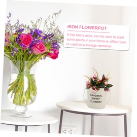 BESPORTBLE 1pc Chic Small Iron Bucket Creative Flower Container Versatile Iron Flowerpot for Display Desktop Organizer for Home Office Use Off