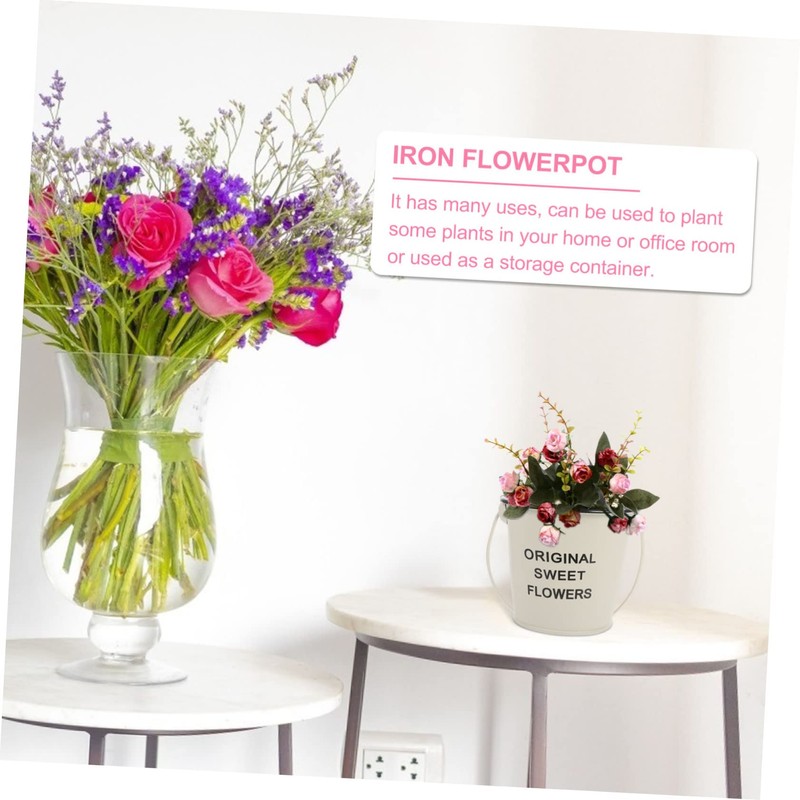 BESPORTBLE 1pc Chic Small Iron Bucket Creative Flower Container Versatile
