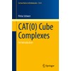 CAT(0) Cube Complexes: An Introduction (Lecture Notes in Mathematics, 2324)