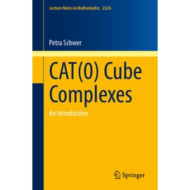 CAT(0) Cube Complexes: An Introduction (Lecture Notes in Mathematics, 2324)