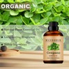 Aceites esenciales de orégano, 60 ml de aceite esencial puro
