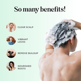 Daily Shampoo for Oily Hair and Oily Scalp Dandruff for Women Men Kids with Itchy Scalp and Greasy Hair Natural Hair Care with Pure Essential Oils Lem