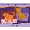 Reime (Bildkarten zur Sprachförderung)