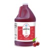 Cherry Snow Cone Syrup, 1 Gallon, Made in the USA