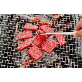 SWAGGEAR Yakiniku Tongs, BBQ Tongs, Stainless Steel, Barbecue, Yakiniku, Outdoors, 9.6 inches (24.5 cm) (Fine, 1 Piece)