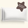 Amqua Mako Satin Cushion Cover Set of 2 Pillowcases 40