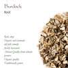Burdock Root Organic Bardane Tea - Purifying Tonic - Arctium